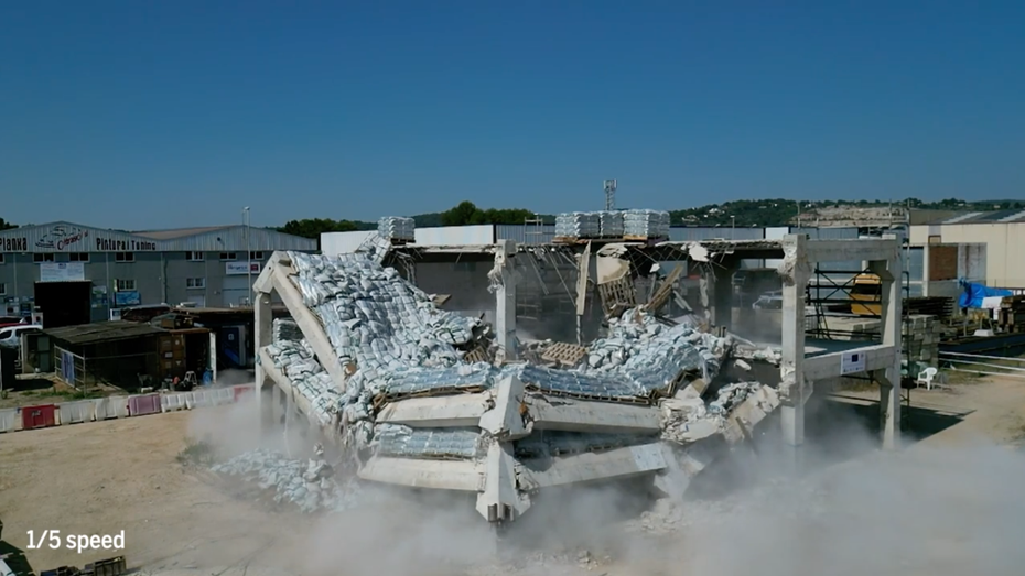 Schutz vor Naturkatastrophen: Was Bauingenieure von der Eidechse gelernt haben Schutz vor Naturkatastrophen: Was Bauingenieure von der Eidechse gelernt haben