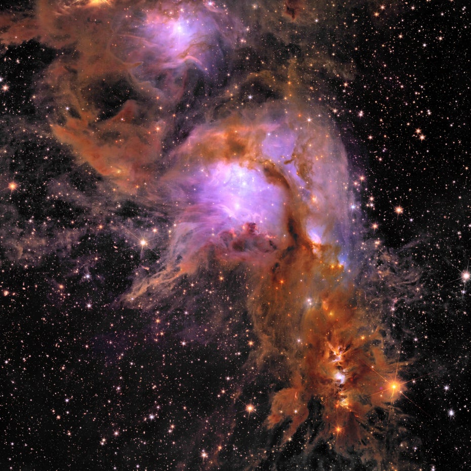 Ein Bild des Euclid-Teleskops zeigt Messier 78.