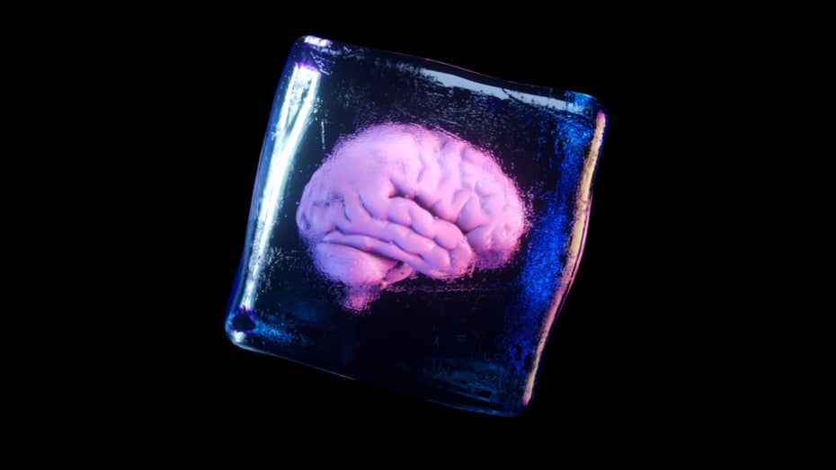 Kryotechnik: Wissenschaftler tauen erstmals gefrorenes Gehirngewebe ohne Schaden wieder auf