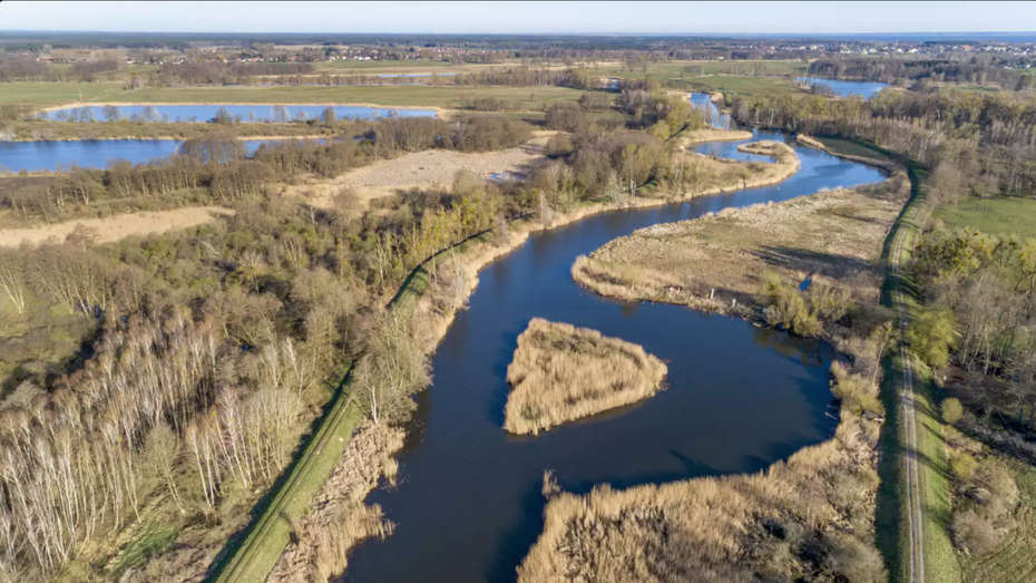 Renaturierung am Oder-Delta: Wie Naturschutz ohne Zäune gelingen kann