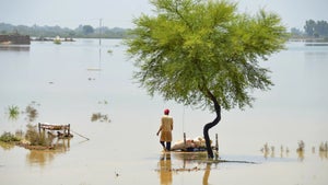 Hochwasser und Dürren: Warum der Klimawandel nicht die einzige Ursache ist
