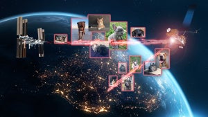 Warum die Nasa Bilder von Haustieren an die ISS sendet