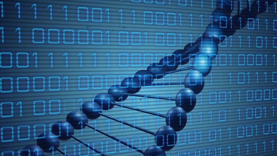 DNA-Computer speichert enorme Datenmengen und löst Sudokus: Warum das so bemerkenswert ist