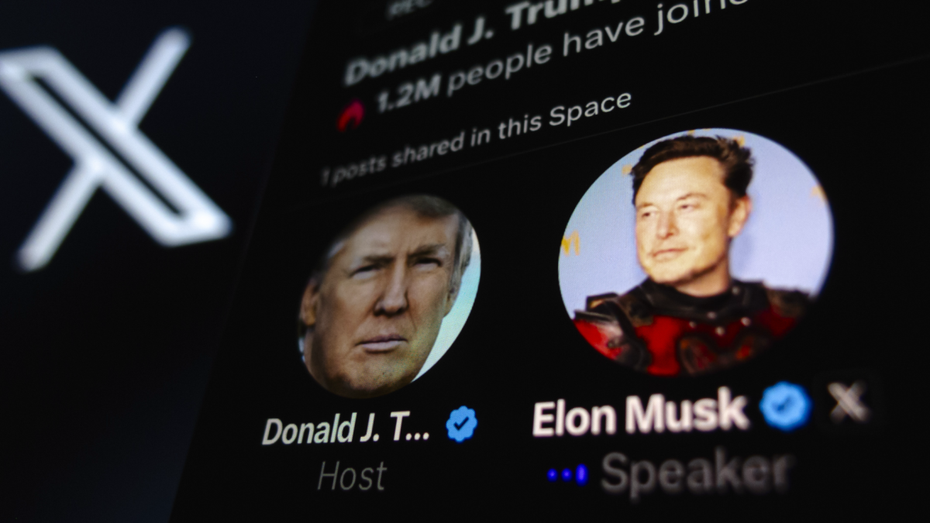 Vor US-Wahl: Elon Musk teilt auf X Fake-News im Wert von fast 3 Millionen Dollar