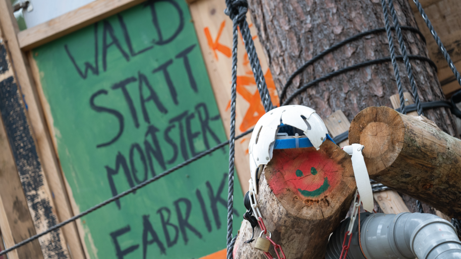 Tesla-Protestcamp: Ein halbes Jahr im Wald und kein Ende in Sicht Tesla-Protestcamp: Ein halbes Jahr im Wald und kein Ende in Sicht