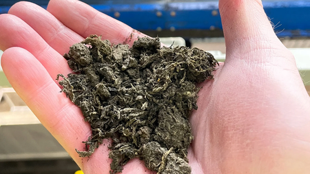 Wie menschliche Fäkalien die Ernährung der Welt sichern sollen