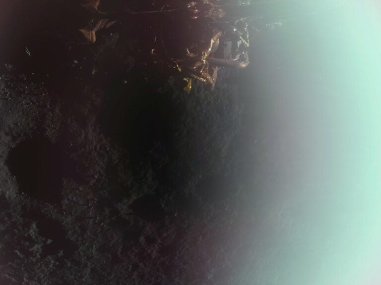 Blue Ghost Bild Mond