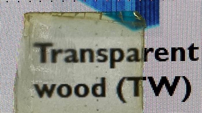 Neues Rezept: Mit diesen natürlichen Produkten verbessern Forscher transparentes Holz