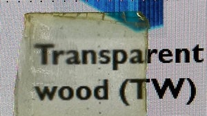 Neues Rezept: Mit diesen natürlichen Produkten verbessern Forscher transparentes Holz