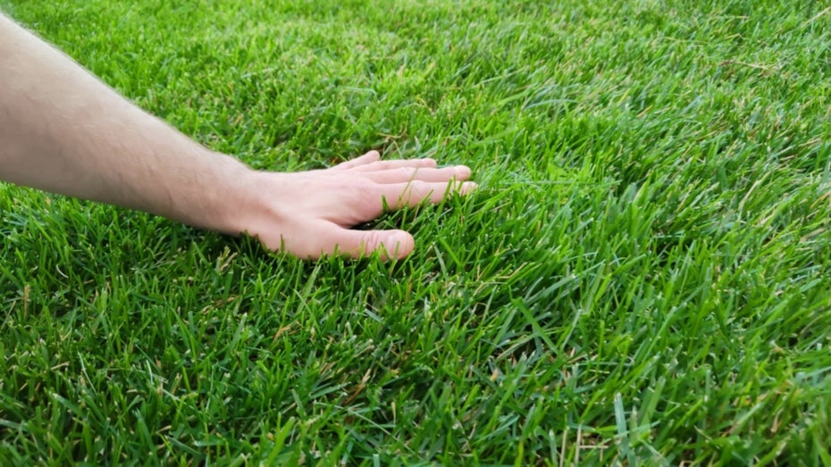 Kein Witz: Diese App sperrt dein Smartphone, bis du wirklich Gras berührst Kein Witz: Diese App sperrt dein Smartphone, bis du wirklich Gras berührst