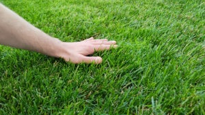 Touch Grass sperrt deine Apps, bis du Gras anfasst