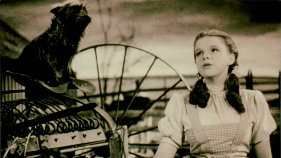 Zauberer von Oz: Warum Google 90 Prozent des Filmklassikers mithilfe von KI verändert Zauberer von Oz: Warum Google 90 Prozent des Filmklassikers mithilfe von KI verändert