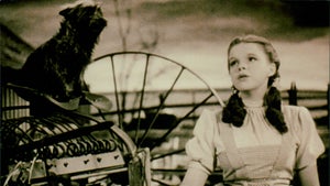 Zauberer von Oz: Warum Google 90 Prozent des Filmklassikers mithilfe von KI verändert