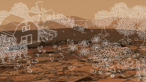 Pflanzenzucht auf dem Mars: Erste Schritte zur Bodenfruchtbarkeit