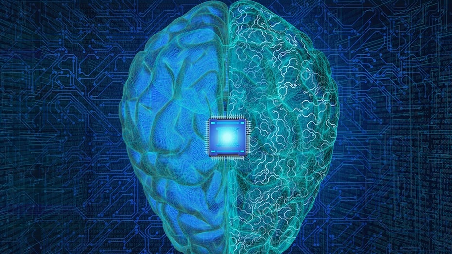 Erst Steam, jetzt das Gehirn: So will der Valve-Gründer Neuralink Konkurrenz machen Erst Steam, jetzt das Gehirn: So will der Valve-Gründer Neuralink Konkurrenz machen
