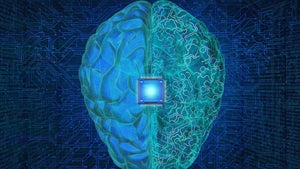 Erst Steam, jetzt das Gehirn: So will der Valve-Gründer Neuralink Konkurrenz machen