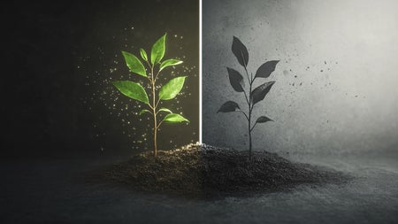 Leuchten Lebewesen wirklich? Die Wissenschaft hinter der Aura
