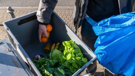 Foodsharing statt Greenwashing: 4 wichtige Vorteile für Unternehmen, die wirklich aktiv handeln