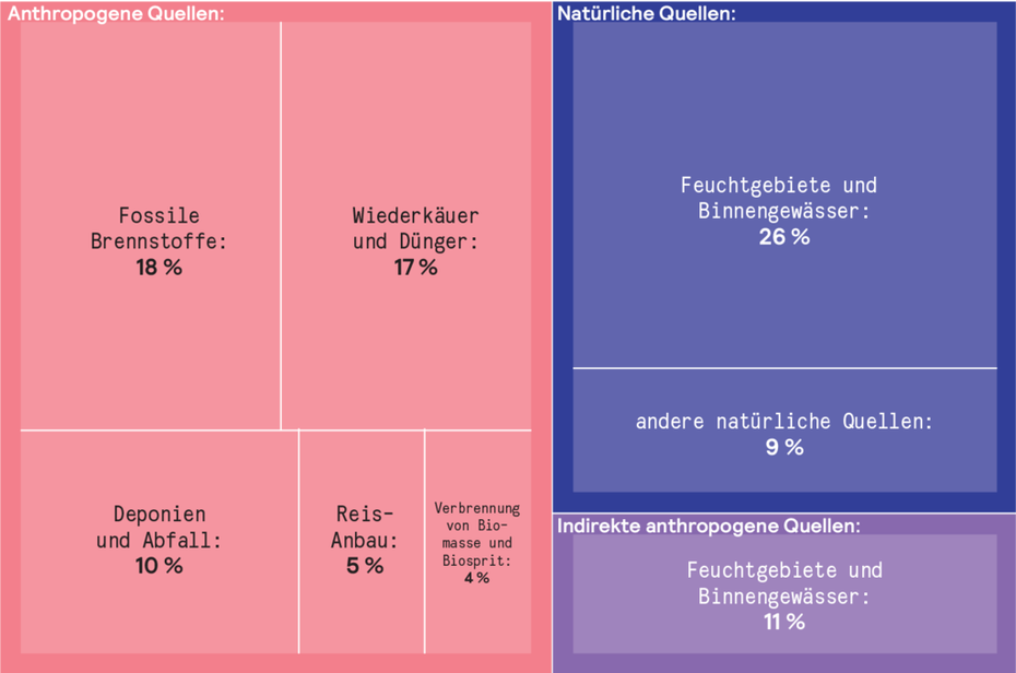Globales Methan-Budget: Der weltweit größte Teil der Methan-Emissionen wird direkt oder indirekt von Menschen verursacht. Zu den indirekten Emissionen zählen künstliche Seen, überdüngte Gewässer oder auftauende Permafrostböden. „Andere natürliche Quellen“ umfassen geologische Quellen, Termiten, Ozeane und wilde Wiederkäuer.(Quelle: Jackson et al. (2024), Saunois et al. (2024), Boston University Institute for Global Sustainability)