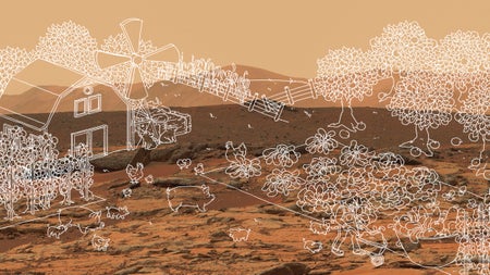Von giftig zu fruchtbar: Wie Forscher die Mars-Landwirtschaft starten wollen