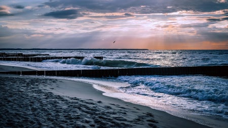 „Gesamte deutsche Ostsee munitionsbelastet“: Welche Gefahr von alten Kampfstoffen im Meer ausgeht