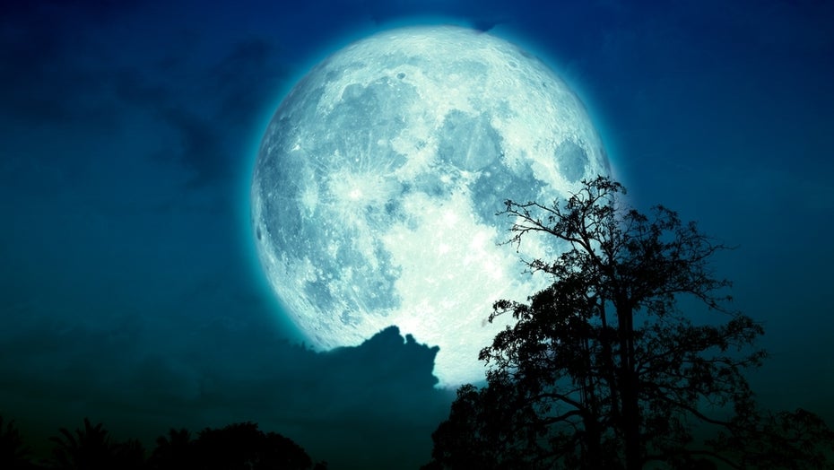 Erdbeermond am 11. Juni: So tief steht der Vollmond erst 2043 wieder Erdbeermond am 11. Juni: So tief steht der Vollmond erst 2043 wieder