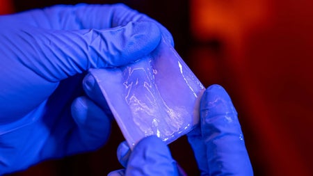 Stärker als Aluminium, vollständig kompostierbar: Forscher entwickeln neues Bio-Material