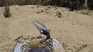 Was dieser Krebsroboter alles über sich ergehen lassen musste