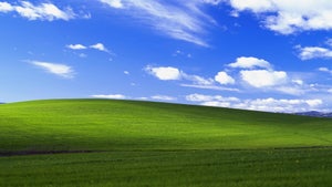 Zum 50. Geburtstag: Microsoft macht aus dem ikonischen XP-Hintergrund Crocs